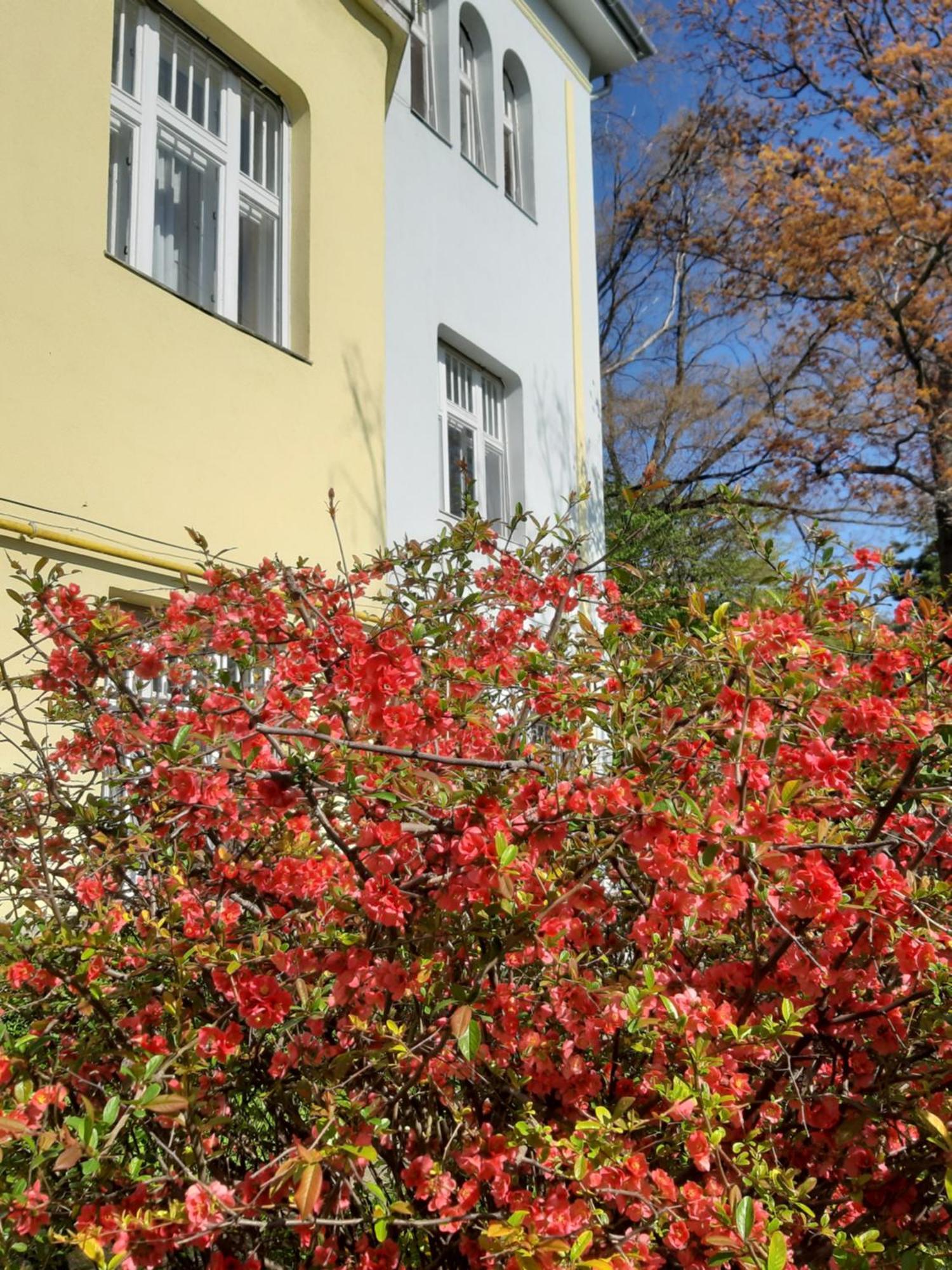 Green Hill Apartment Boedapest Buitenkant foto